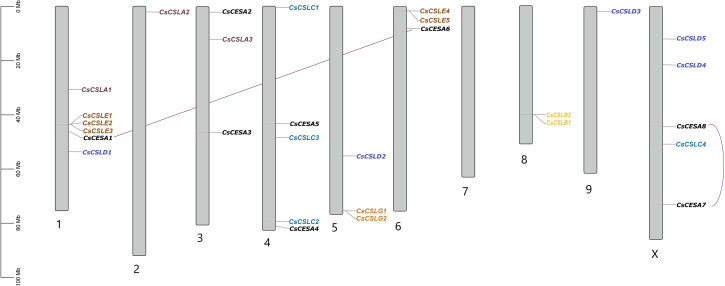 PMC11636989 – fig-3