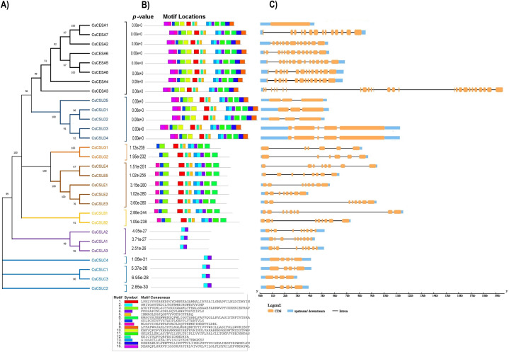 PMC11636989 – fig-5