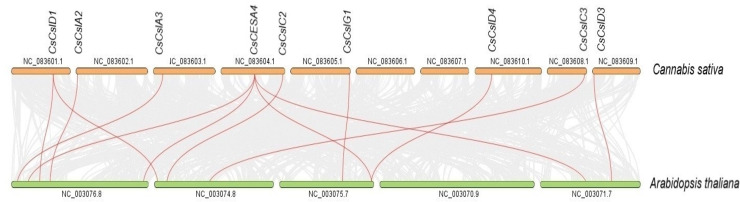 PMC11636989 – fig-6