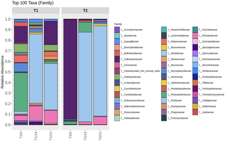 PMC11439377 – fig-5