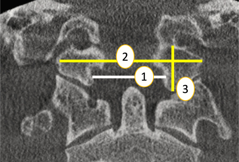 PMC11430163 – fig-1