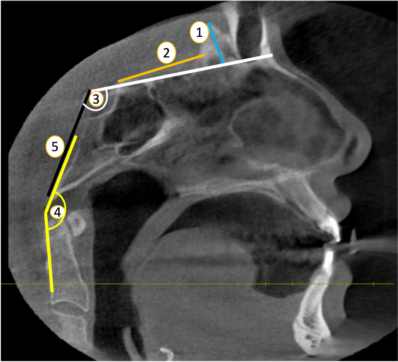 PMC11430163 – fig-2