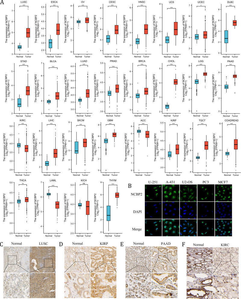 PMC11930219 – fig-2