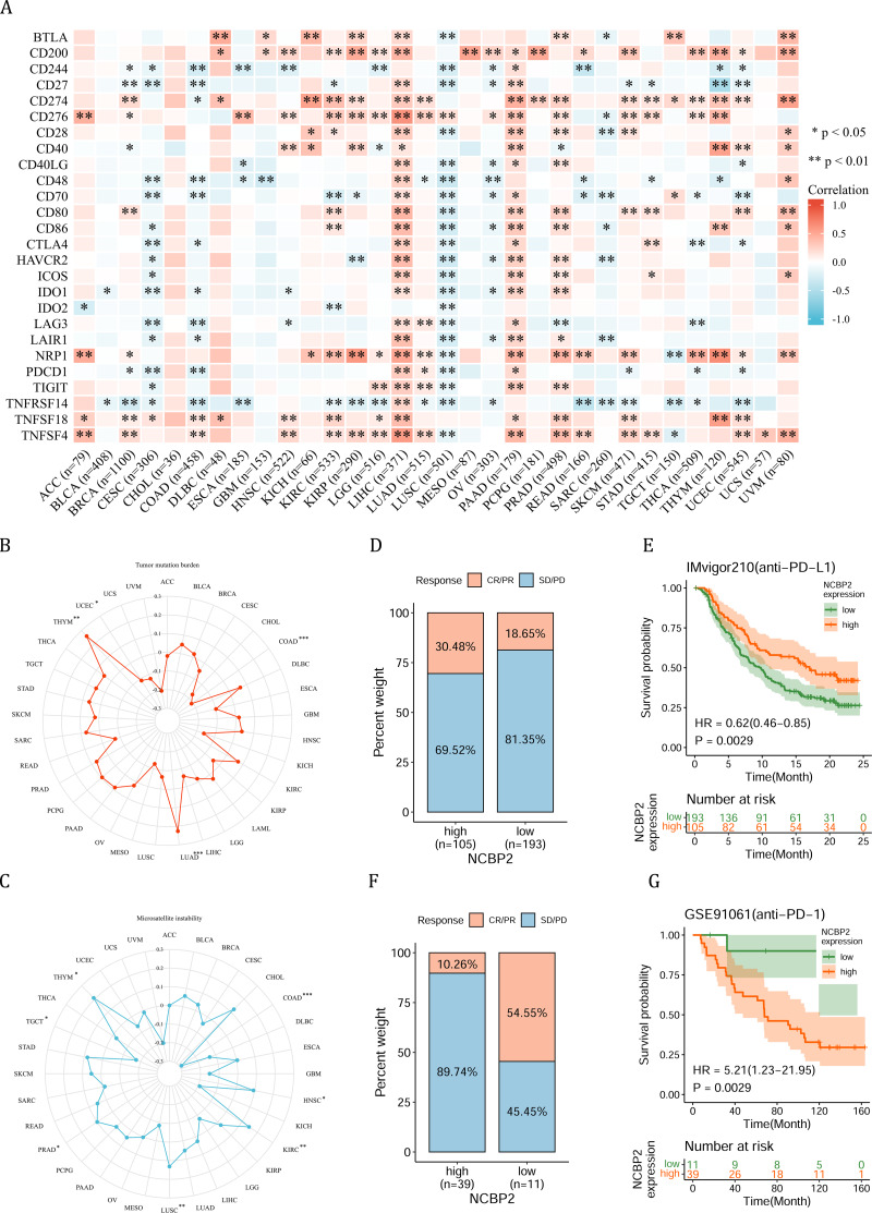 PMC11930219 – fig-6