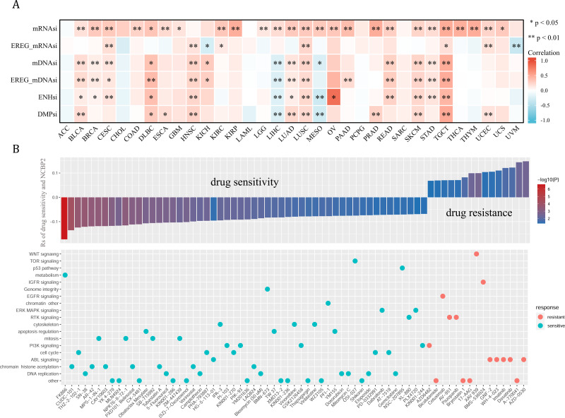 PMC11930219 – fig-7