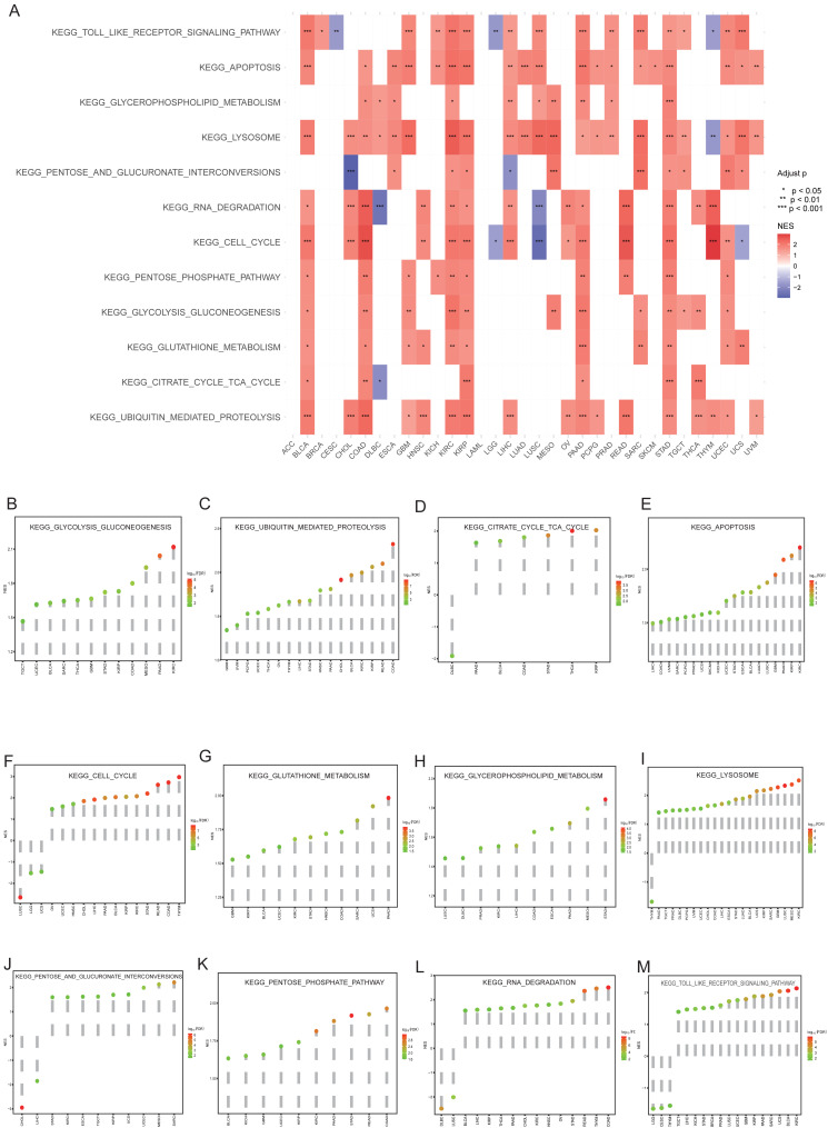 PMC11929506 – fig-4