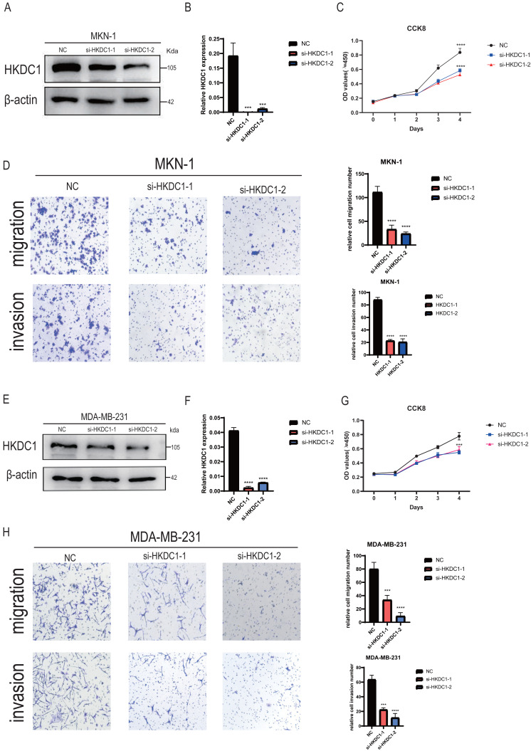 PMC11929506 – fig-7