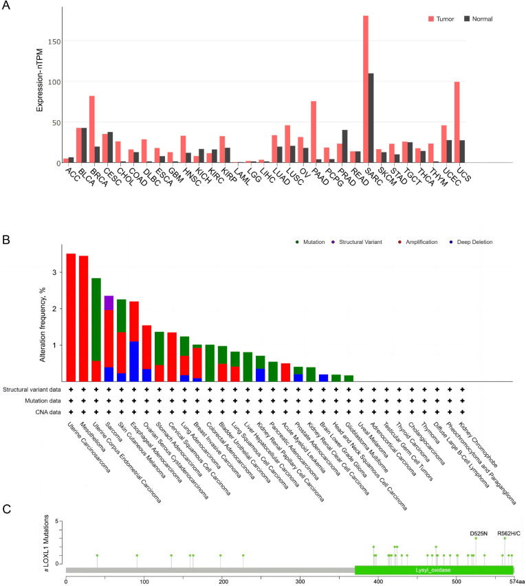 PMC12335831 – fig-4