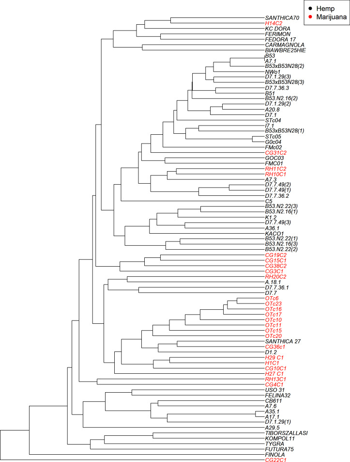 PMC12338058 – fig-4