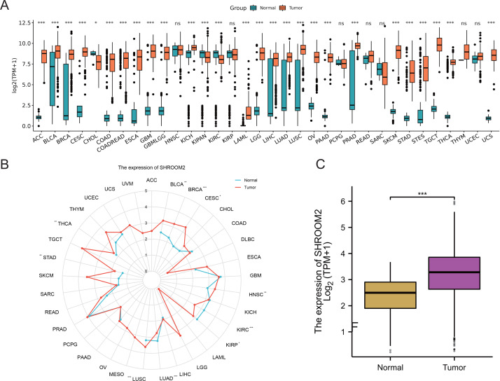 PMC12476865 – fig-1