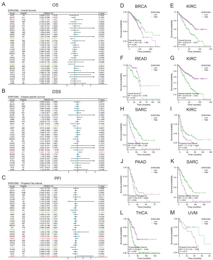PMC12476865 – fig-2