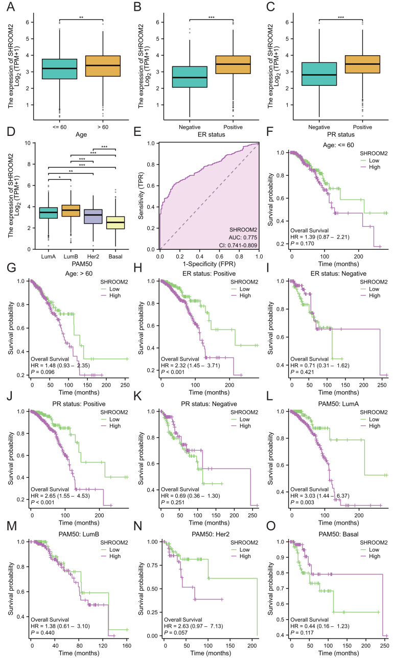 PMC12476865 – fig-3