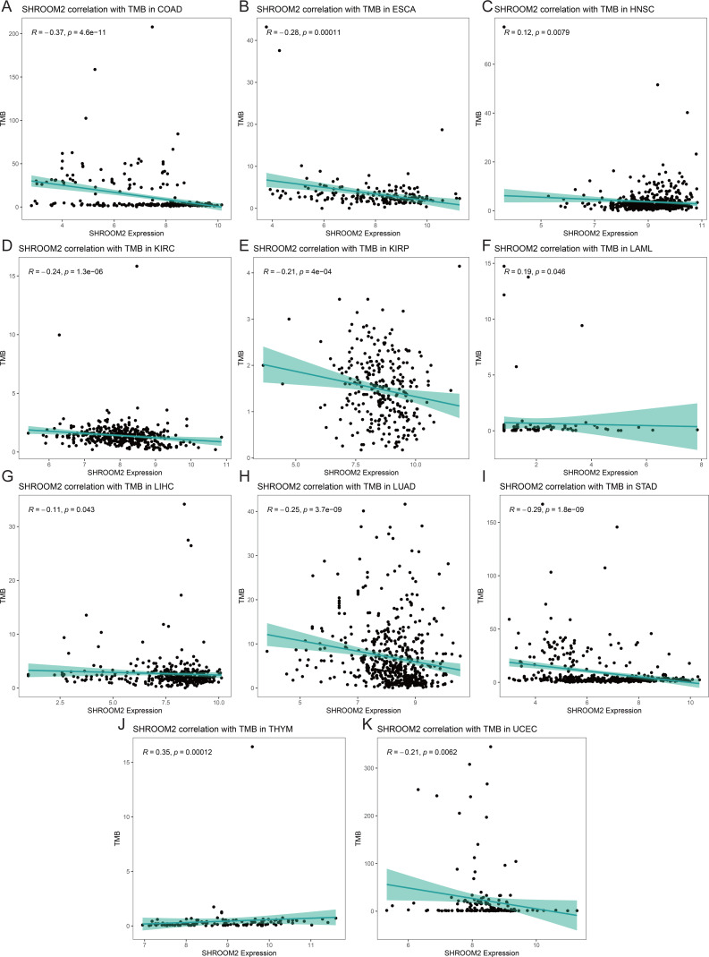 PMC12476865 – fig-9
