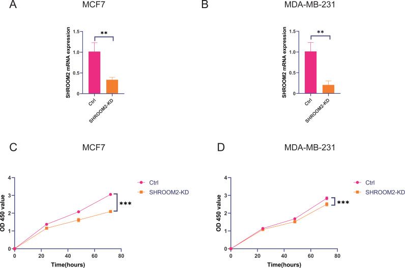 PMC12476865 – fig-11
