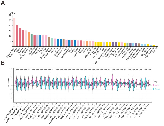 PMC12906706 – fig-1