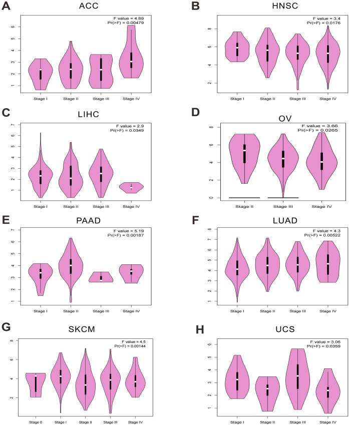 PMC12906706 – fig-2