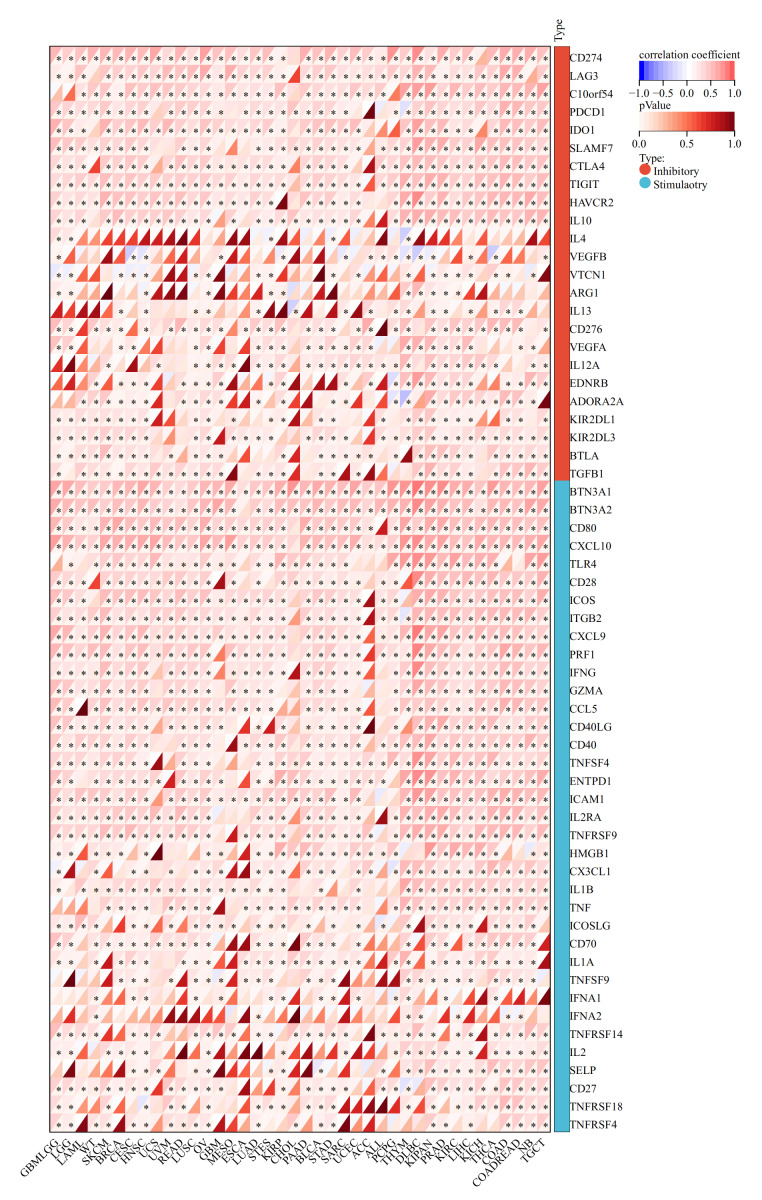 PMC12906706 – fig-5
