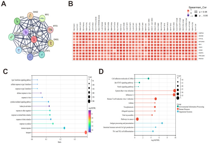 PMC12906706 – fig-7