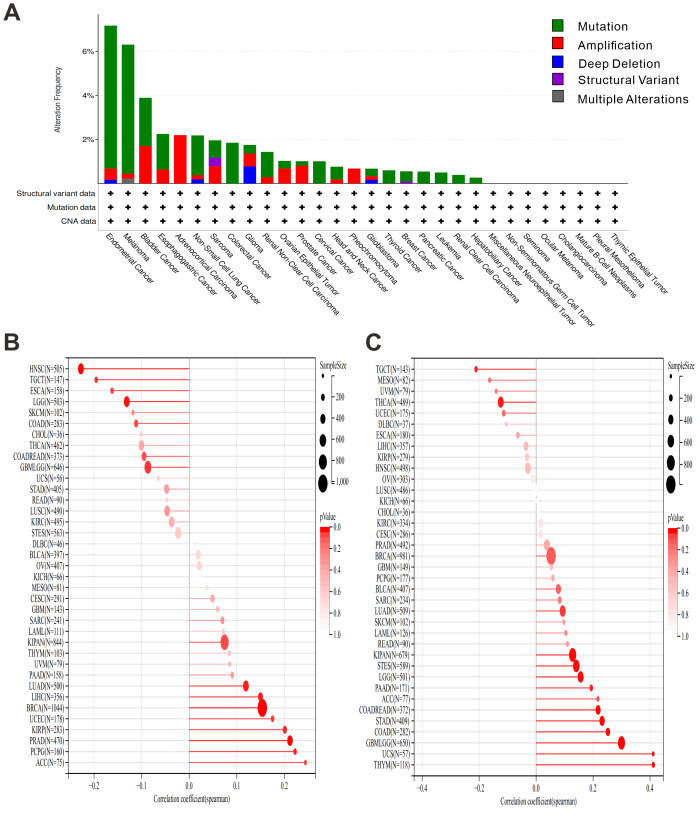 PMC12906706 – fig-8