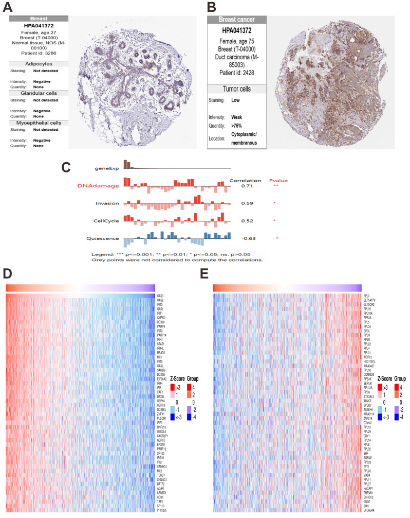 PMC12906706 – fig-10