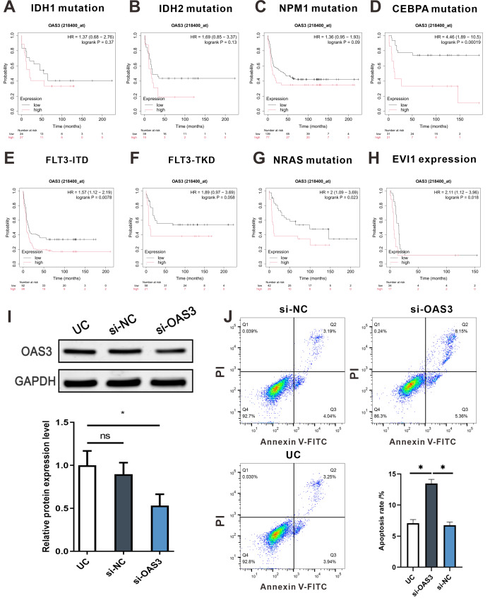 PMC12906706 – fig-11