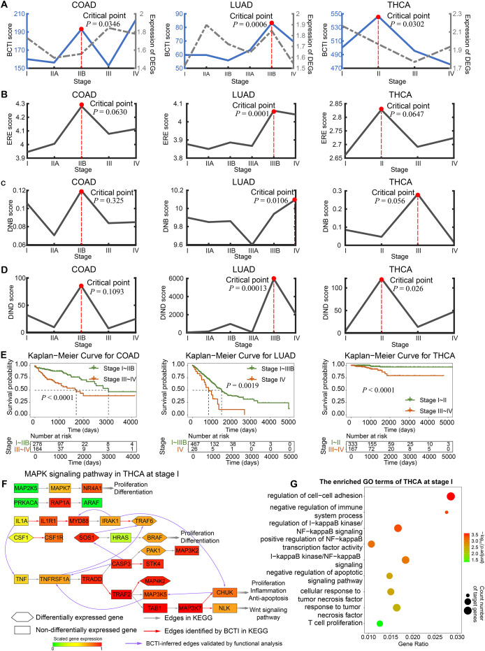 PMC12908575 – fig-3