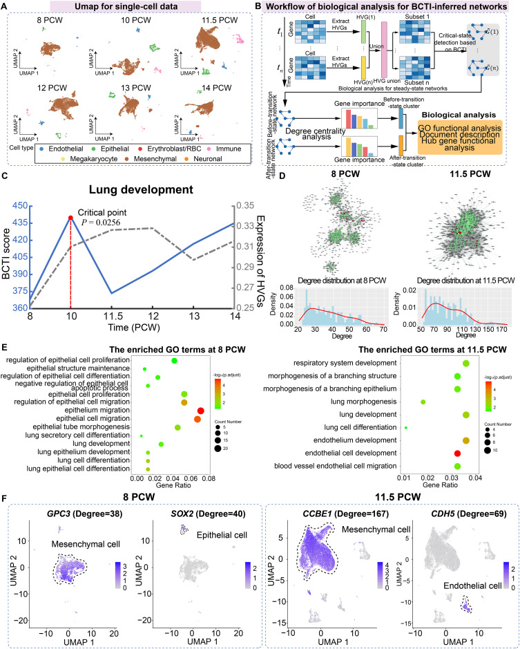 PMC12908575 – fig-4