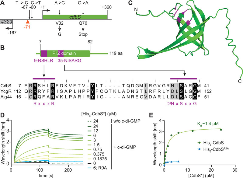 PMC10313047 – pgen.1010819.g001