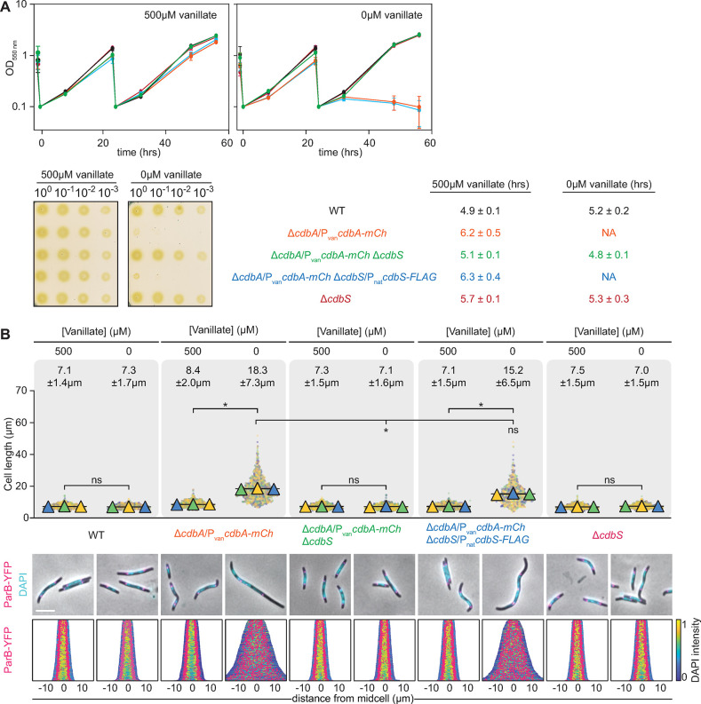 PMC10313047 – pgen.1010819.g002