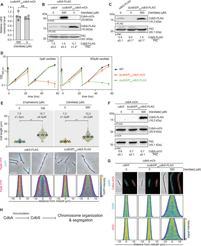 PMC10313047 – pgen.1010819.g003