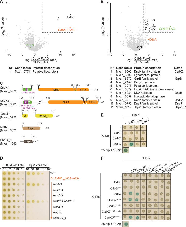 PMC10313047 – pgen.1010819.g004