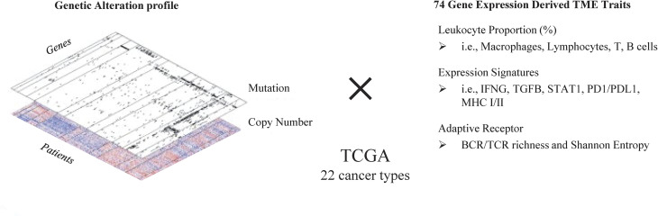 PMC10829993 – pgen.1011134.g001