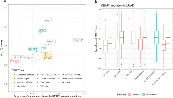 PMC10829993 – pgen.1011134.g003