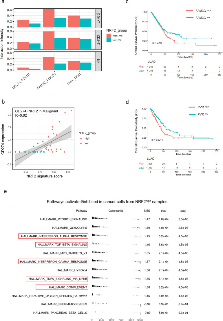 PMC10829993 – pgen.1011134.g006