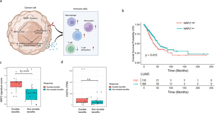PMC10829993 – pgen.1011134.g007