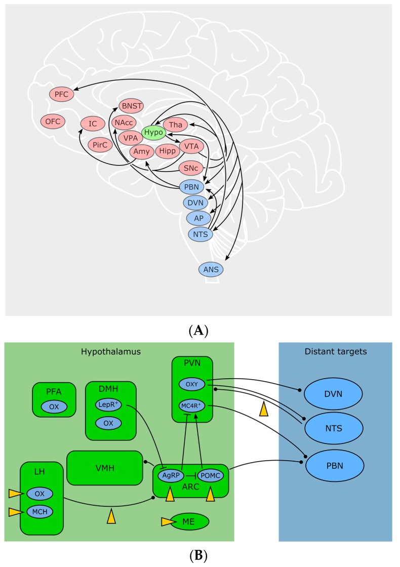 PMC6027162 – pharmaceuticals-11-00055-f002