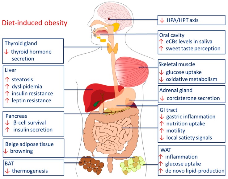 PMC6027162 – pharmaceuticals-11-00055-f003