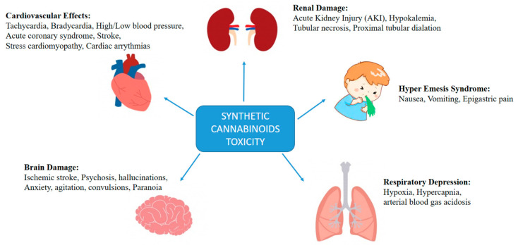 PMC8541640 – pharmaceuticals-14-00965-f003