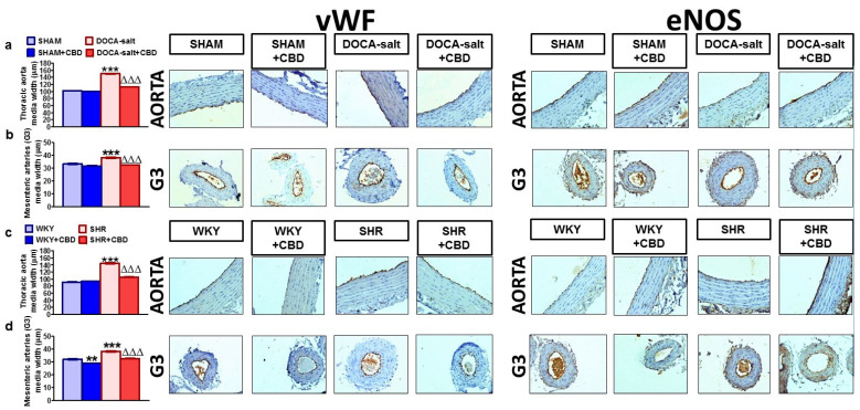 PMC8624681 – pharmaceuticals-14-01120-f004