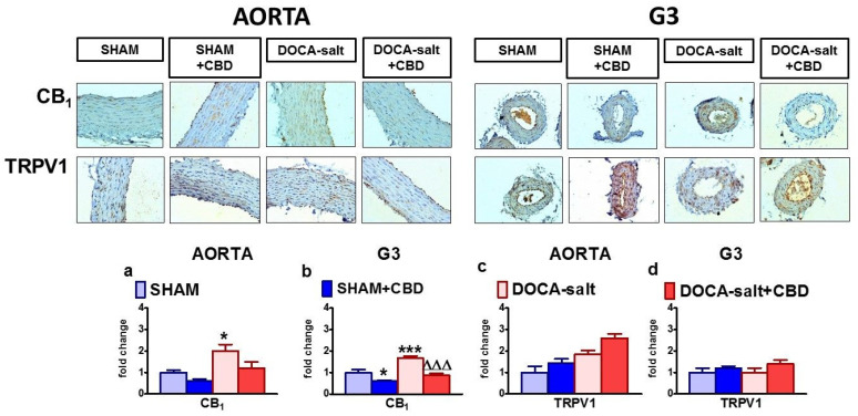 PMC8624681 – pharmaceuticals-14-01120-f005