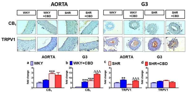PMC8624681 – pharmaceuticals-14-01120-f006