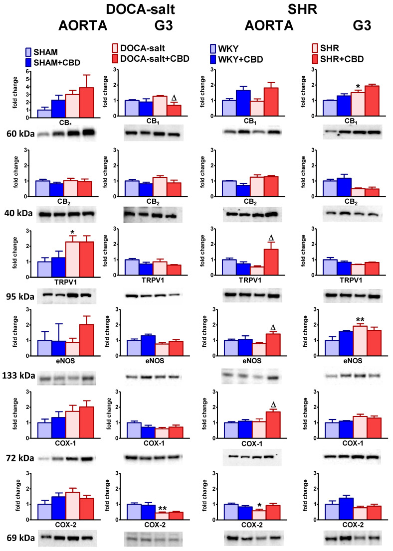 PMC8624681 – pharmaceuticals-14-01120-f007