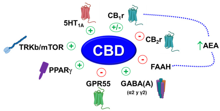 PMC9027088 – pharmaceuticals-15-00473-f009