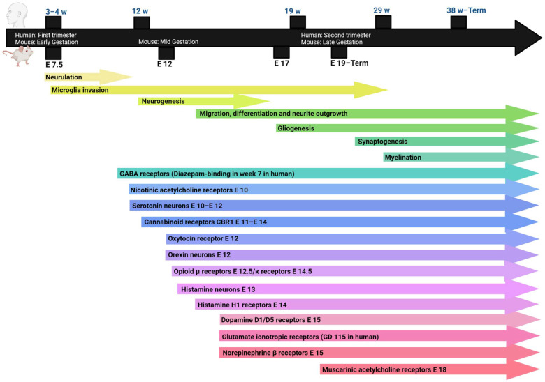 PMC9144645 – pharmaceuticals-15-00612-f001