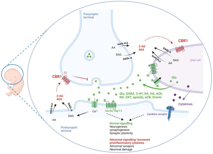 PMC9144645 – pharmaceuticals-15-00612-f002