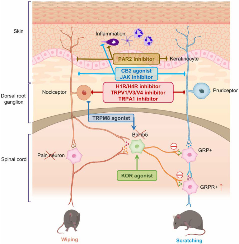 PMC9318852 – pharmaceuticals-15-00892-f002