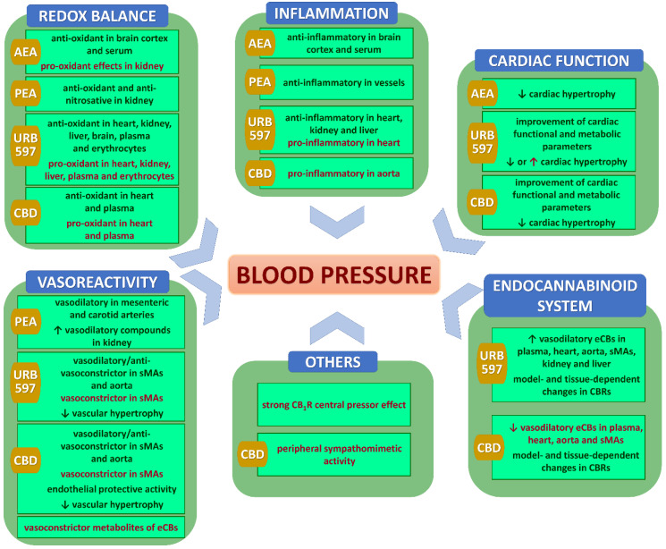 PMC9503677 – pharmaceuticals-15-01119-f002