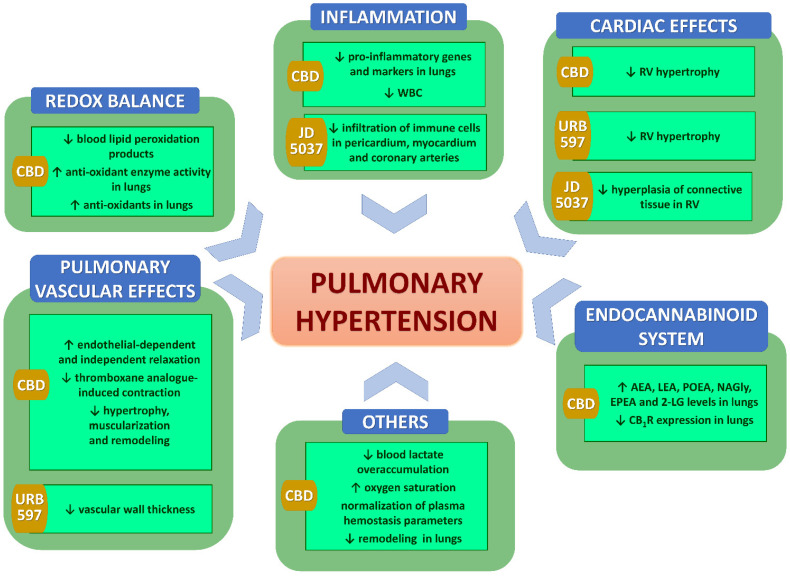 PMC9503677 – pharmaceuticals-15-01119-f003