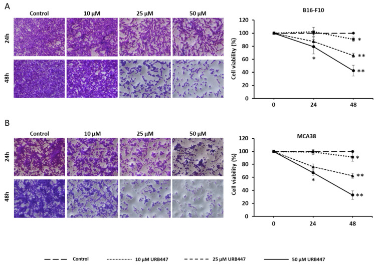 PMC9606960 – pharmaceuticals-15-01166-f002