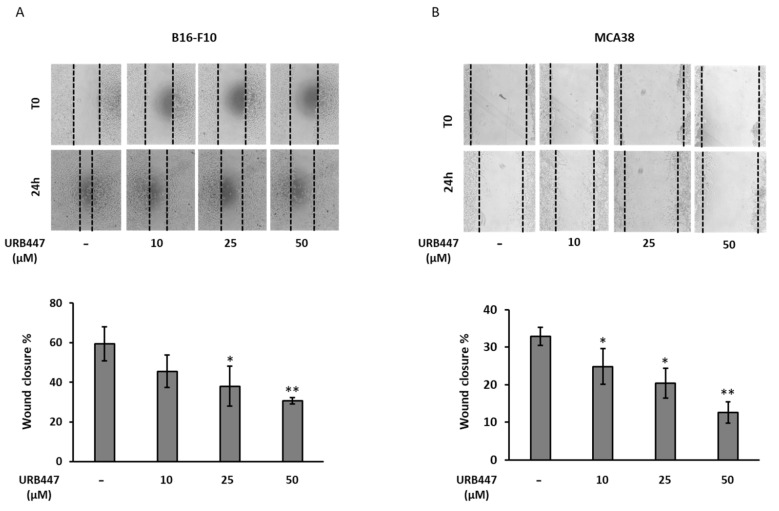 PMC9606960 – pharmaceuticals-15-01166-f005